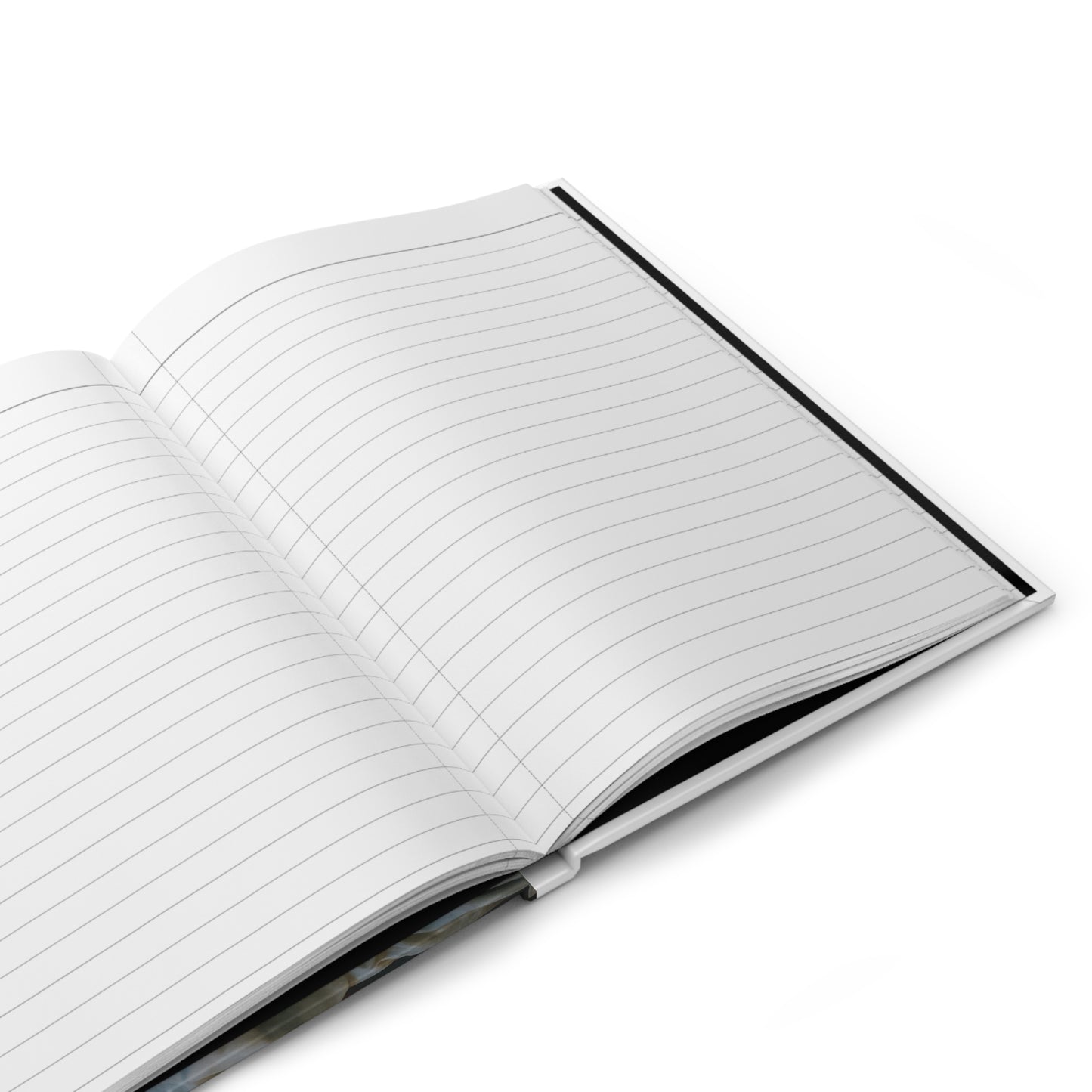 The Unfiltered Me: Journals Of The Journey- The Content Creator 3