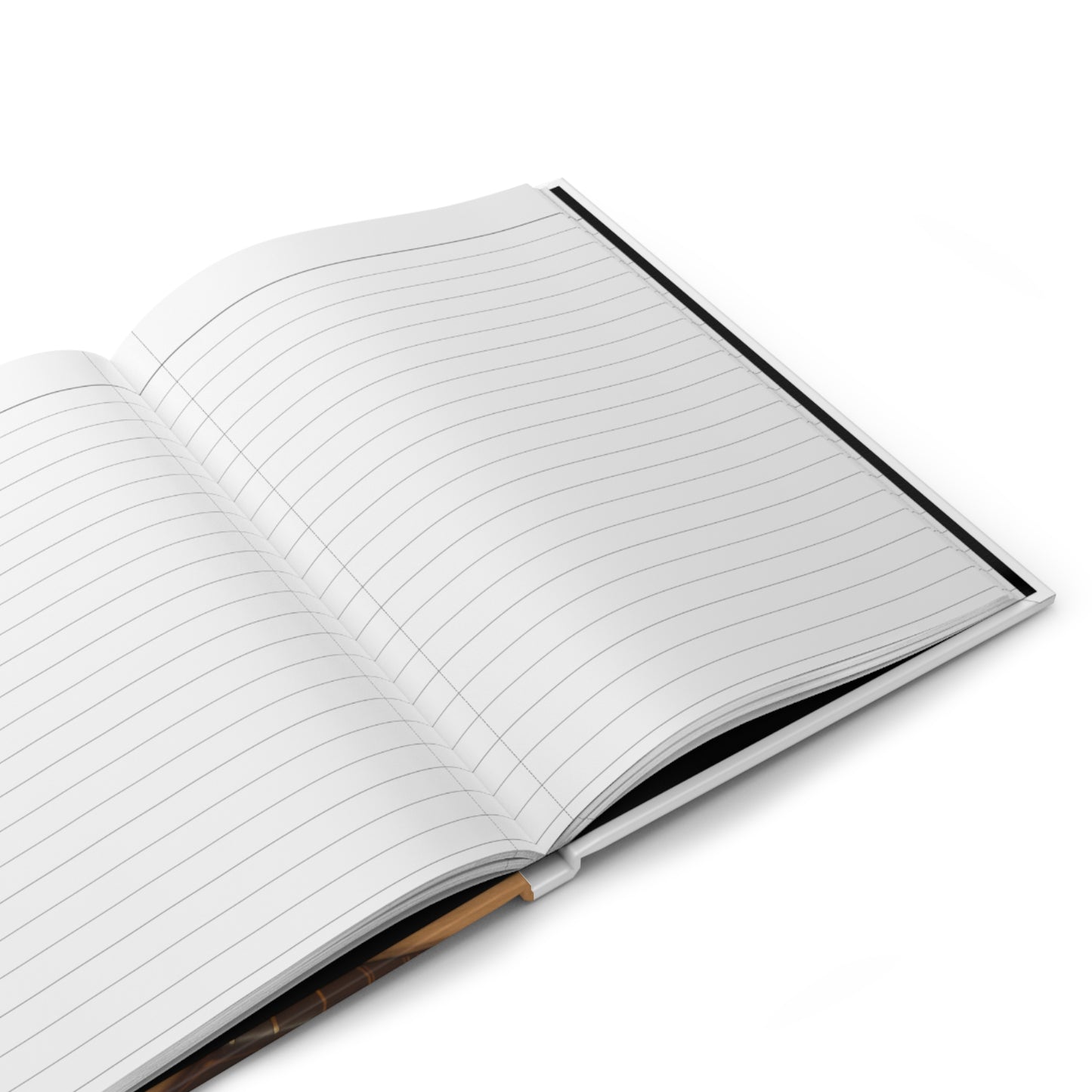 The Unfiltered Me: Journals Of The Journey- The Podcaster
