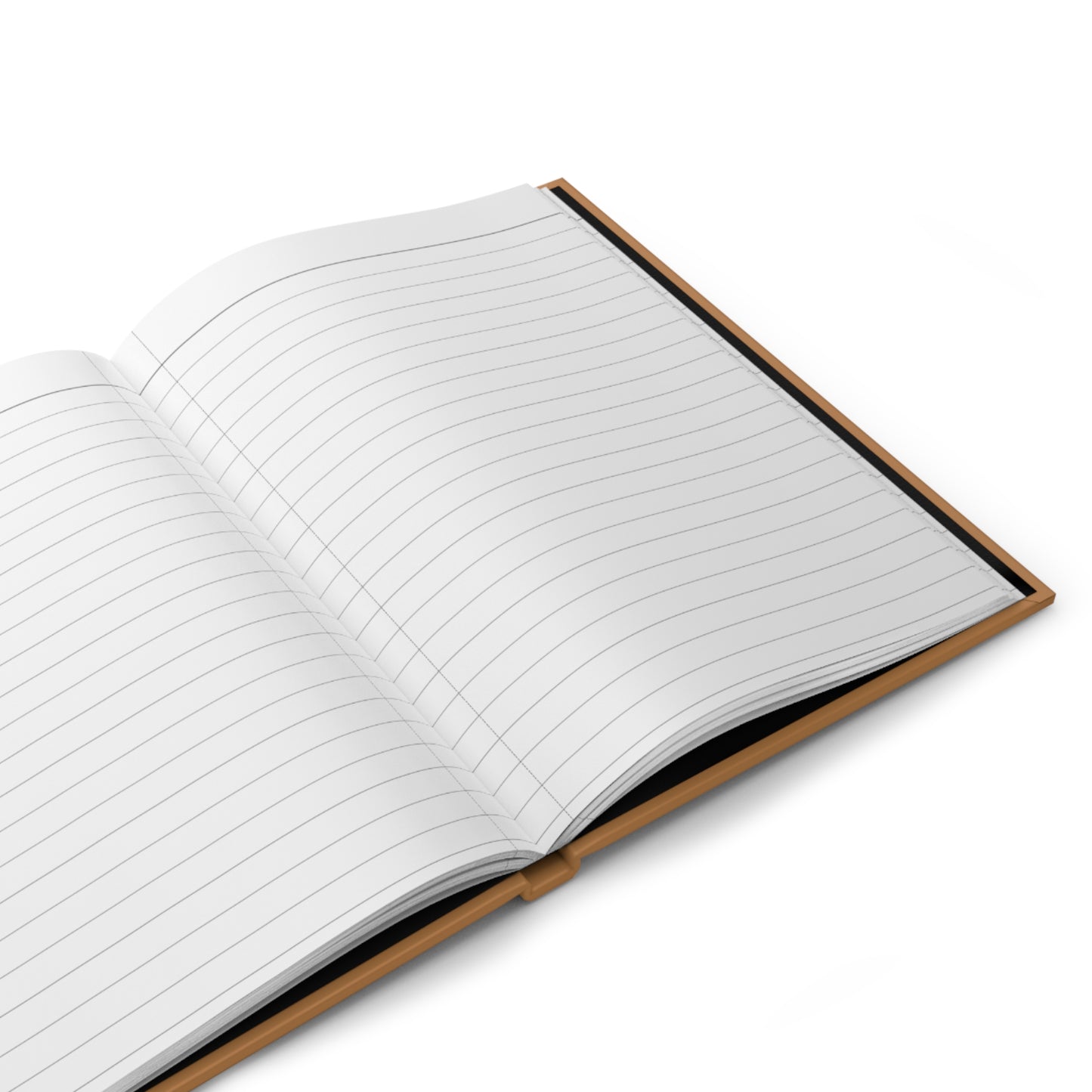 Reflection Journal: The Unfiltered Me-  The Teachers
